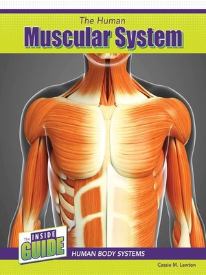 cover image of The Human Muscular System